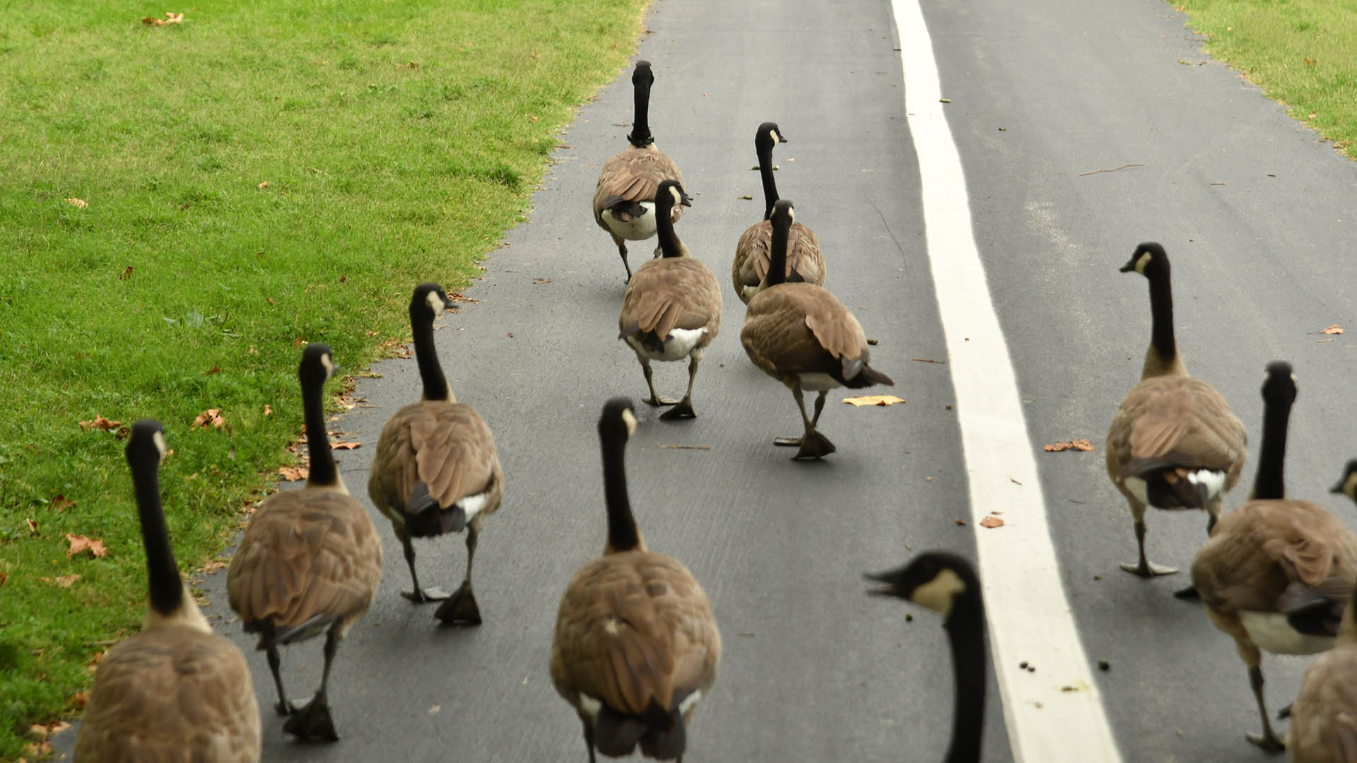 Fred and Family